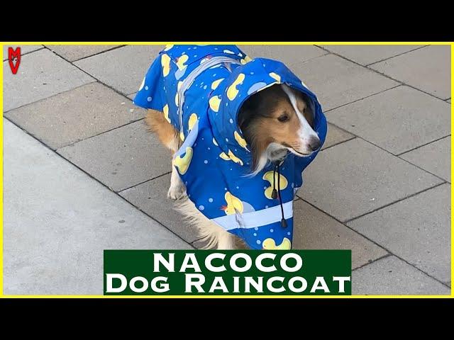 Keep Your Dog Dry! || Nacoco Dog Raincoat || MumblesVideos Product Review