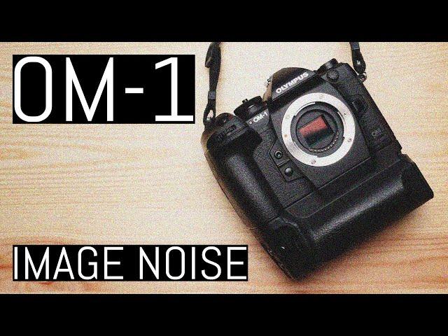 OM System OM-1 – Image Noise Expert Guide and In-Depth Knowledge