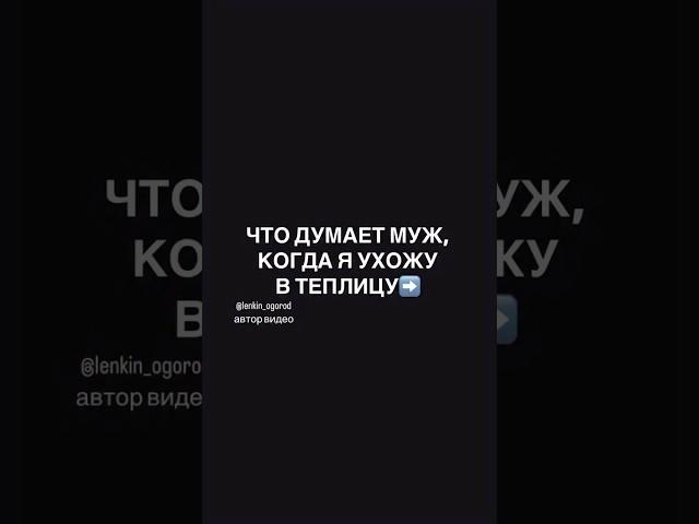 А ваши что думают?