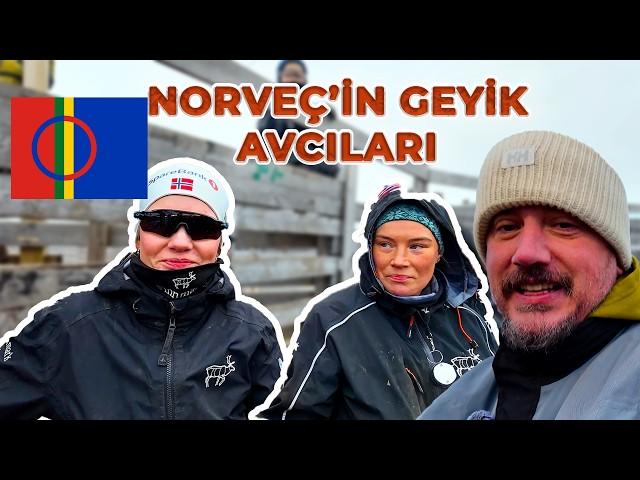 Spending a Day with the Reindeer-Herding Sami People | Lapland - Arctic Circle | Norway