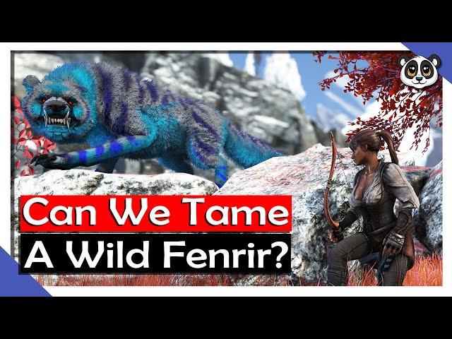 Can We Tame A Wild Fenrir? | S14 Ep 10 | ARK: Fjordur