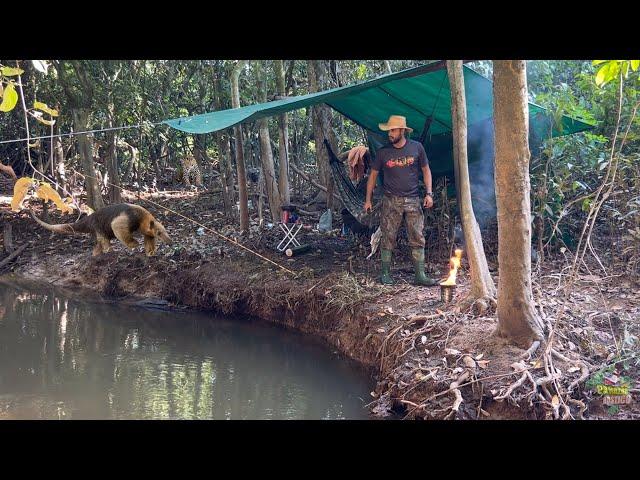 Fiz um ESTURRADOR de ONÇA no acampamento e testei, os ANIMAIS ficaram agitados 