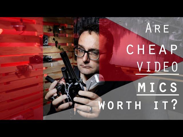 Are Cheap Microphones Worth it? | Danie Nel Photo