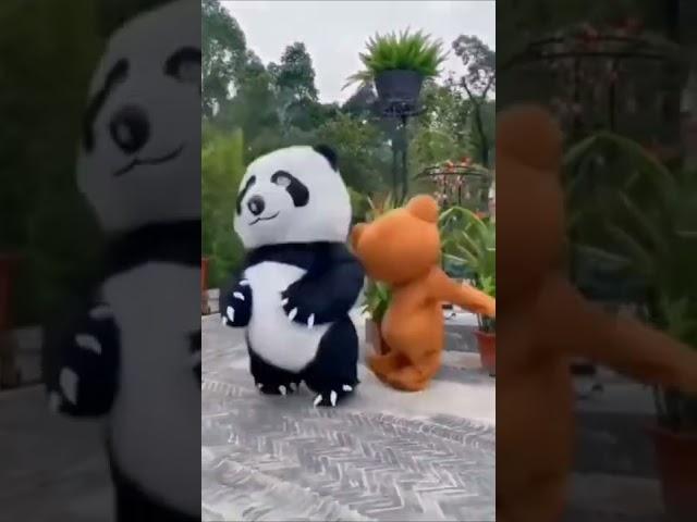 Funny Cute Panda Video ️ #shorts 1080P HD