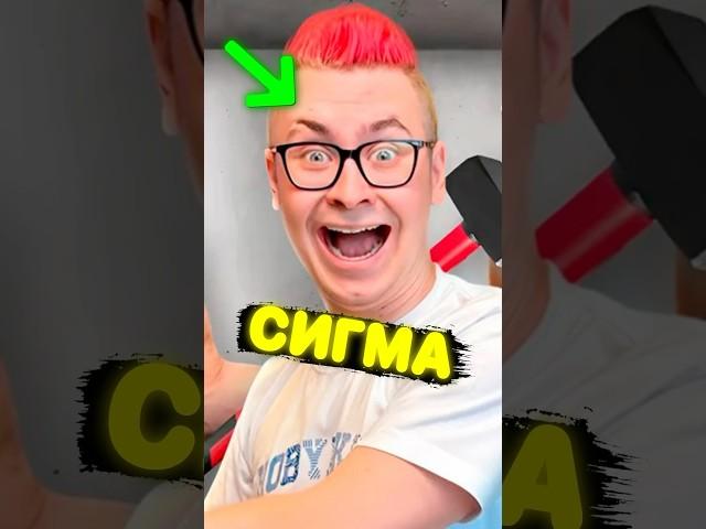Кобяков СИГМА 
