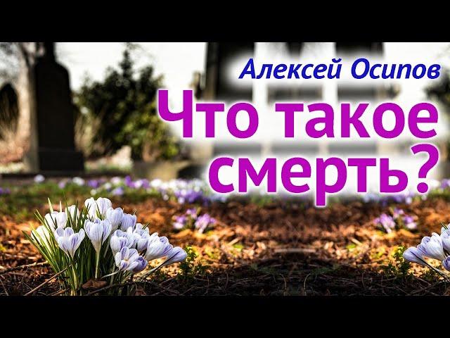 О смерти. Что такое #смерть? Жизнь ПОСЛЕ СМЕРТИ. Бессмертие души