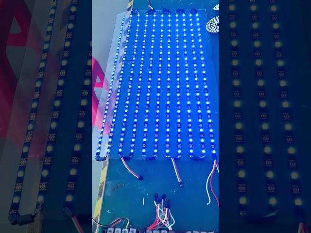 Rose Lighting flexible led strip curtain/display 20pixelsX11Pixels(70cmX40cm)