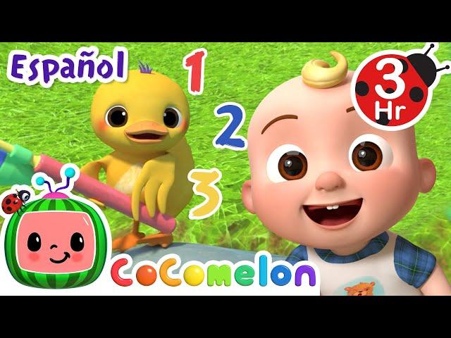 Cuenta los patitos | CoComelon y los animales | Caricaturas para niños | Español Latino