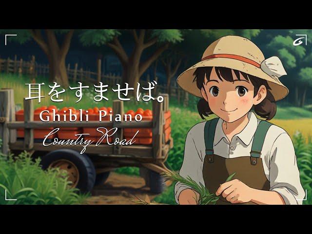 Ghibli Music Collection 2024  Best Ghibli Piano Collection  BGM for work relax study