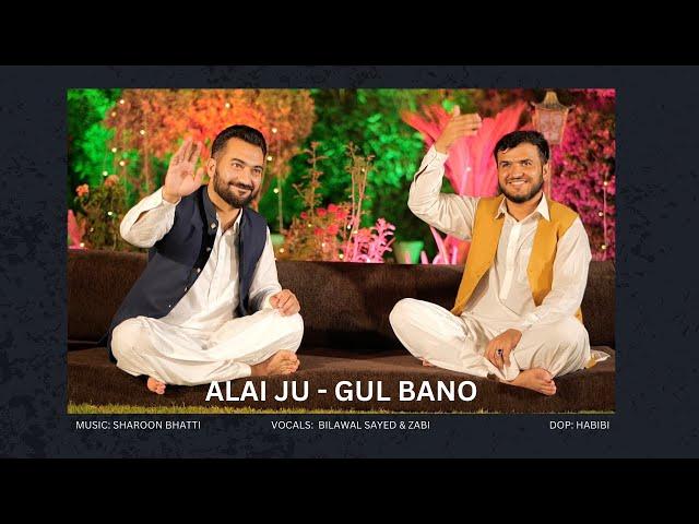 ALAI JU - GUL BANO I BILAWAL SAYED & ZAIBI I PASHTO DARI SONG 2024 I@AryanaMusic