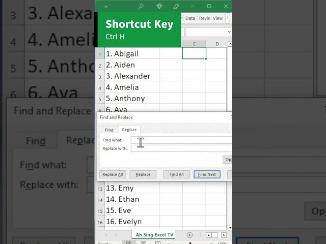 Advanced use of wildcard character in finding and replacing
