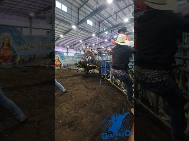 Ciclón de los Tsunamis #guerrerodeljaripeo #jaripeo #jinete