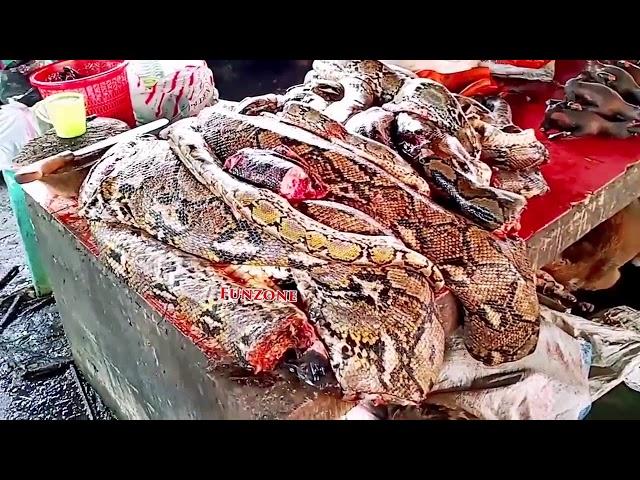 Very strange Meat market of China! See it to believe it