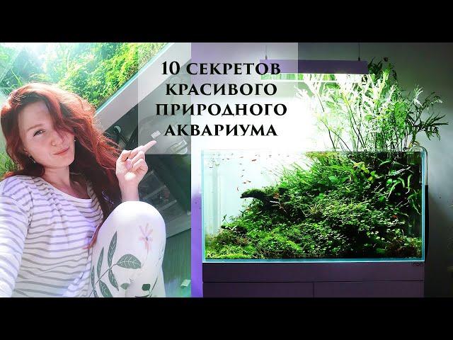 10 секретов красивого природного аквариума