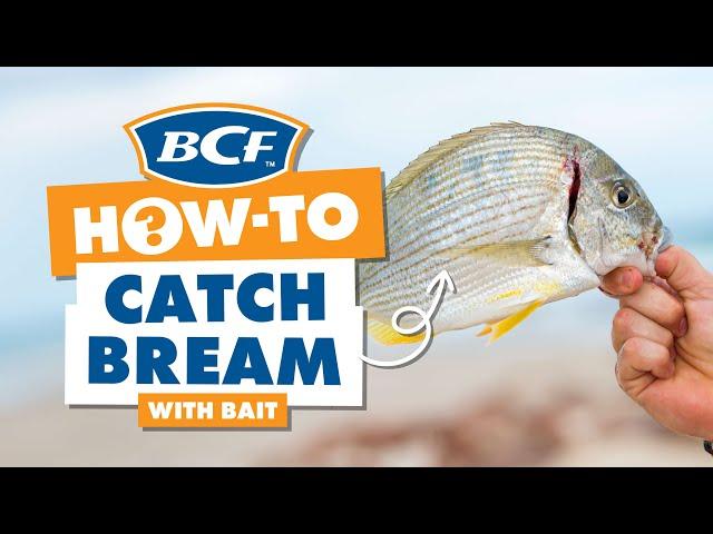 Catch Bream with Bait - BCF How To