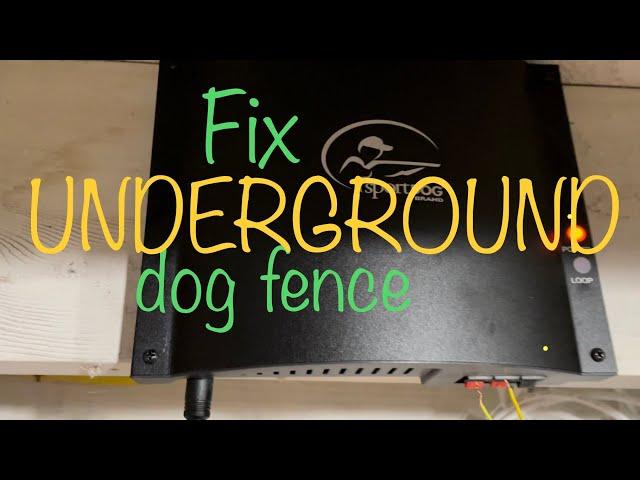 Find break in dog fence wire! Fast and easy