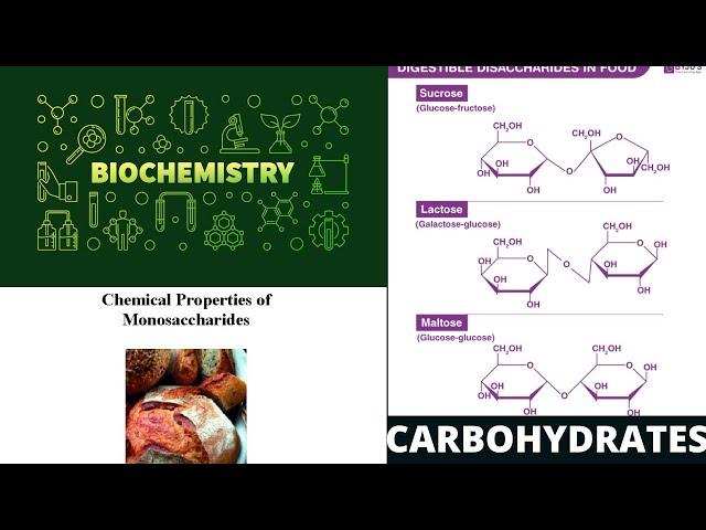 CARBOHYDRATES PART 2 BY RANA MUHAMMAD NOMAN