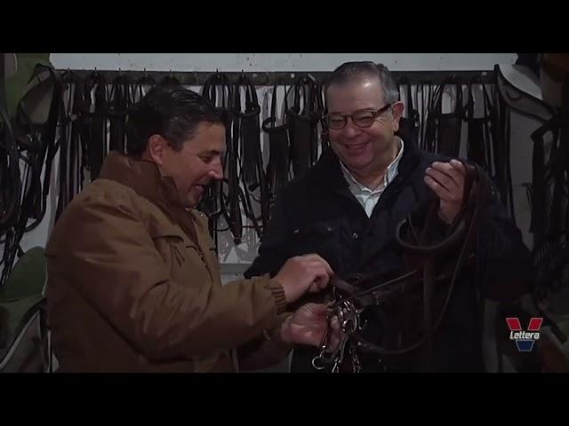 jose antonio olea 1 picadero de cipriano  guadarnes cuadra, nudo y trabajos | Documental en Español