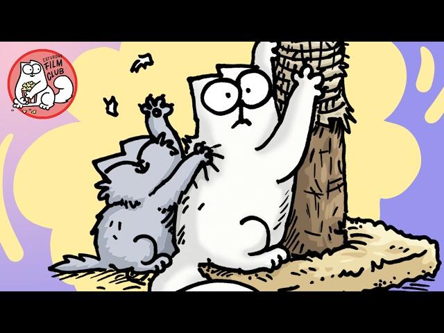 Get To Know The Kitten - Caturday in Colour!