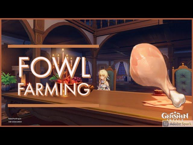 How To Kill All Of Timmie's Birds (Fowl Farming) | Genshin Impact