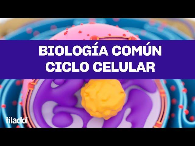 Biología | Ciclo Celular | PAES | Preu Filadd