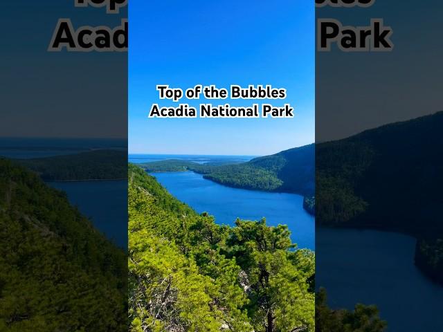 Top of Acadia’s Bubbles. #maine #hike #hiking #outdoor #ytshort #shorts #short #acadia