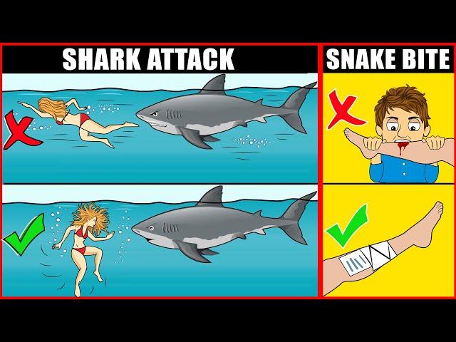 Scientific Tips on How to Survive Wild Animal Attacks