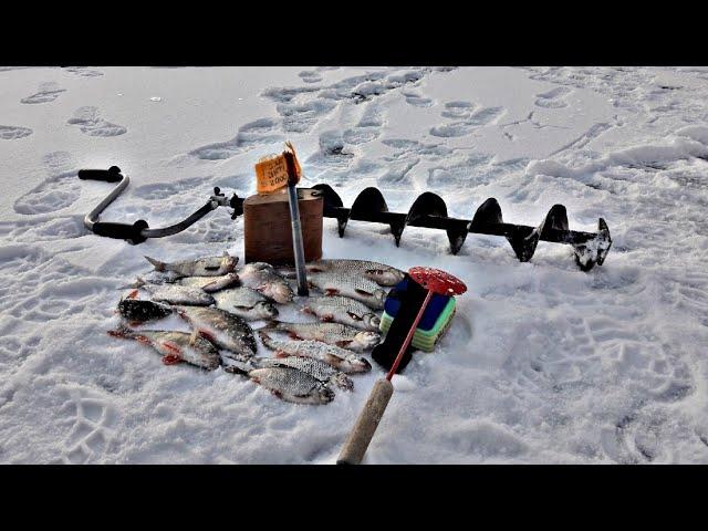 Зимняя Рыбалка!Юный друг отпускает рыбу я ловлю)))