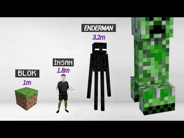 Minecraft Canlıların Boyutları