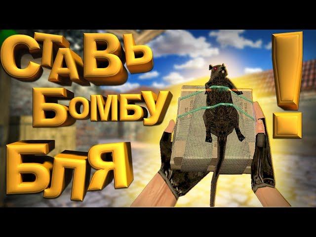 СТАВЬ БОМБУ БЛЯ ! / убиваю ВСЕХ, даже своих ( CS:GO | cs 1.6 ) САНТЕХНИК