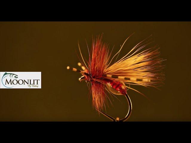 4K Fire Ant with Moonlit Fly Fishing