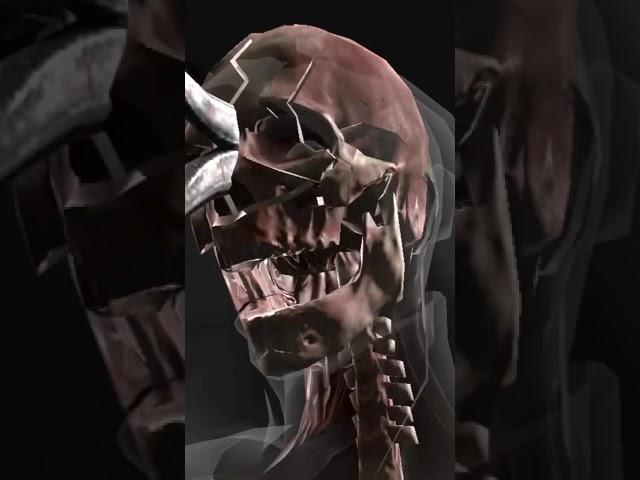 Inferno scorpion