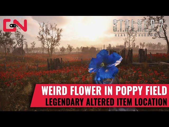 Stalker 2: Weird Flower Legendary Altered Item Location, Blue Flower in Poppy Field