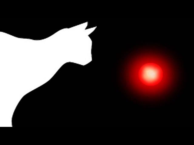 CAT GAMES - LASER CHASER (FOR CATS ONLY)