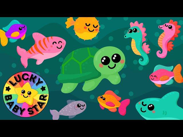 Under the Sea Safari  Baby Sensory Ocean Adventure with Colourful Sea Creatures 