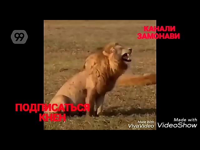 Прикол над людьми