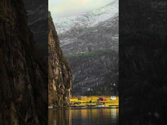 The gateway to Norway's majestic fjords, has truly stolen my heart! #bergen #fjord #danialray