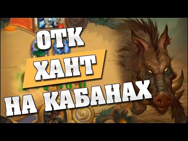 ОТК ОХОТНИК НА КАБАНАХ! Hearthstone - Ведьмин Лес [ОТК охотник]