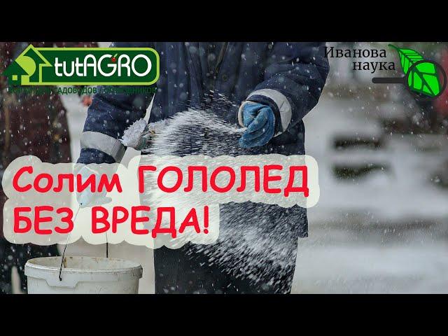 ГОЛОЛЕД НЕ ПРОЙДЕТ! Посыпаем дорожки... БЕЗ СОЛИ! Чем БЕЗОПАСНО посыпать дорожки.