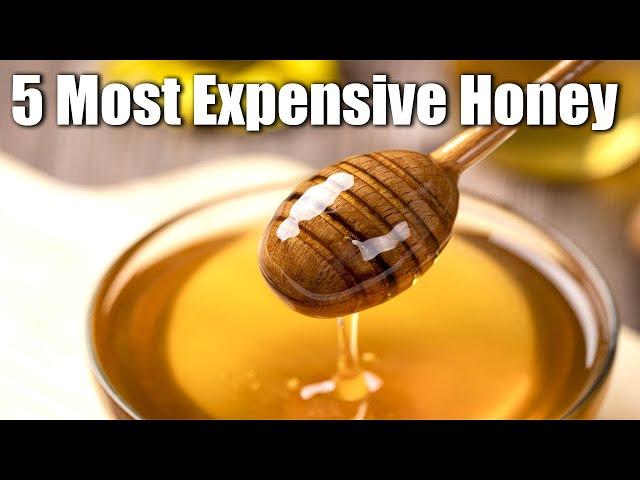 5 Most Expensive Honeys In The World