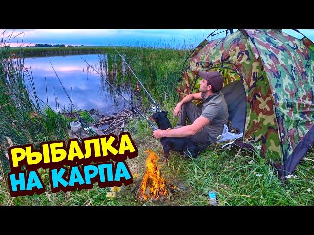 Рыбалка на Карпа с ночевкой! Жареный карп с картошкой