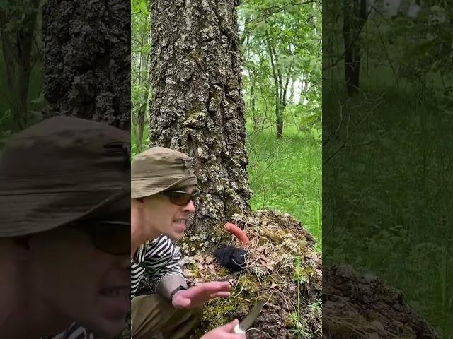 Очень редкий гриб #рыбалка #рыбалканафидер #fishing #рыбалканаозере #юмор #прикол #fishing
