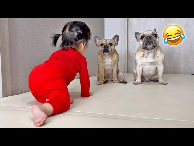 Our FUNNIEST Best Dog And Baby Moments of 2023