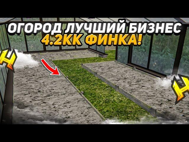 ОГОРОД - ЭТО ЛУЧШИЙ ДЕШЕВЫЙ БИЗНЕС 4.2КК ФИНКА в RADMIR RP / HASSLE ONLINE!