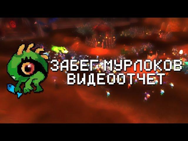 Забег Мурлоков - Видеоотчёт.