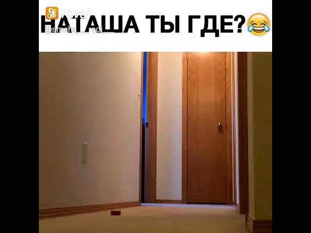 Наташа ты где