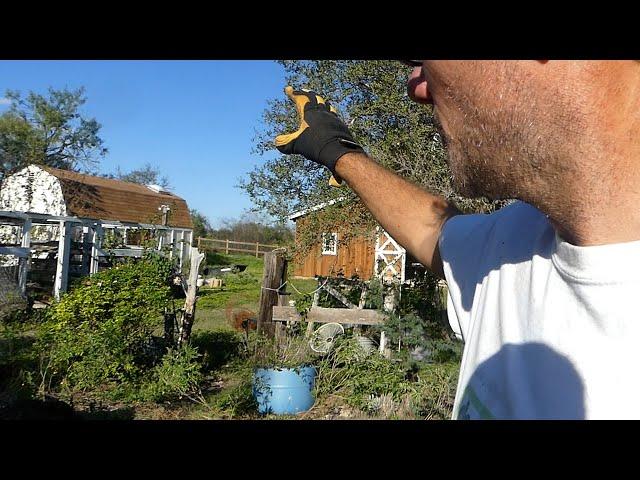 This stopped my garden (Garden Reconstruction Part 1)