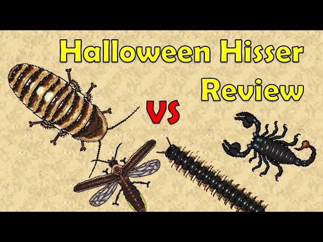 Halloween Hisser Review  - Pocket Ants - Smart Daddy