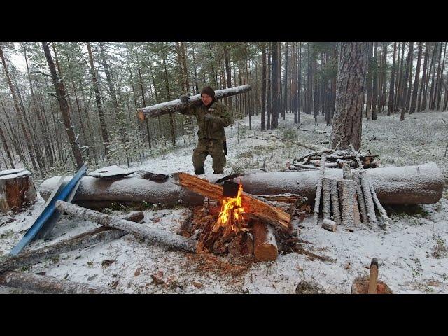 ВОЗВРАЩЕНИЕ К ХИЖИНЕ ОХОТНИКА. ДАВНО НЕ БЫЛ У ХИЖИНЫ. ЧТО Я УВИДЕЛ КОГДА ПРИШЁЛ? ЛЕСНОЙ БАЛАГАН.