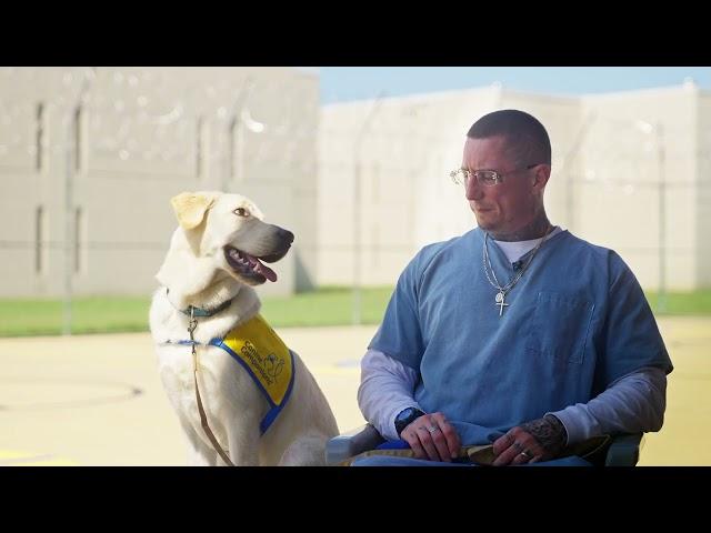 Mission "Pawsible" - Prison Inmates Give Back | Canine Companions #puppy #prison #dogtraining